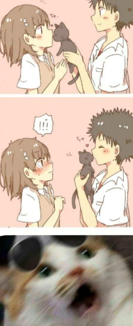 Indirect Kiss, Anime Products, Anime Jokes, Discount Code, Anime Memes, Anime Funny, Funny Pictures, Kiss, Kitty