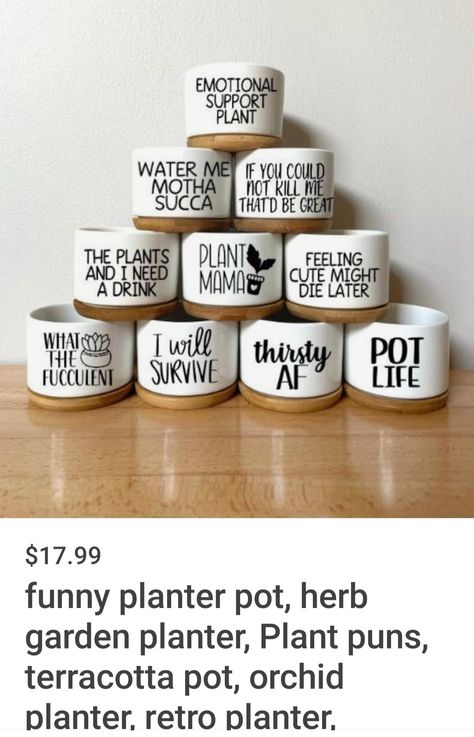 Planter Quotes, Planter Sayings, Businesses Ideas, Plant Pots Crafts, Herb Garden Planter, Plant Puns, Tee Ideas, Plant Pot Design, Orchid Planters