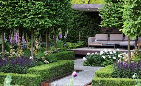 Partial Shade Plants, Chelsea Garden, Chelsea Flower, Chelsea Flower Show, Shade Plants, Flower Show, Outdoor Ideas, Summer Garden, Modern Garden