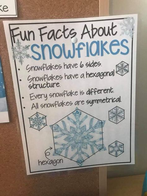 January Preschool Lessons, Facts About Snowflakes For Kids, Snow Cycle Preschool, Snow Facts For Preschoolers, Winter Social Studies Activities, Snowflake Lesson Plans Preschool, Snow Theme Preschool Activities, Snow Inquiry Kindergarten, January Classroom Themes