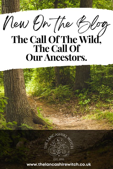 The Call Of The Wild, The Call Of Our Ancestors with The Lancashire Witch / Traditional Witchcraft / British Folk Magic The Old Ways, Nature Magic, The Call Of The Wild, Traditional Witchcraft, Folk Magic, Old Ways, Call Of The Wild, Magic Powers, Witchy Woman