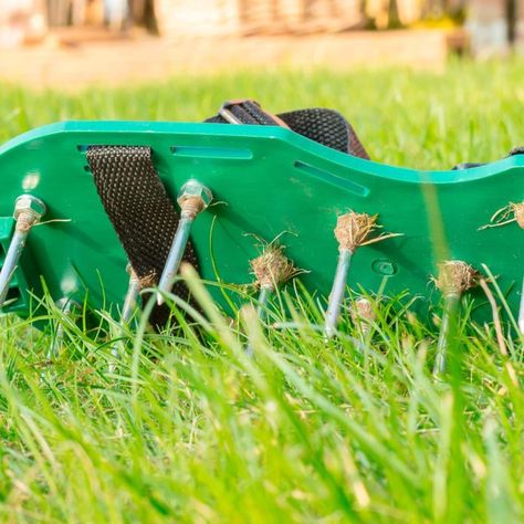 Lawn Aerator Shoes: Do They Really Work? | Family Handyman Farm Tips, Build A Murphy Bed, Fall Lawn, Pergola Pictures, Diy Lawn, Weeds In Lawn, Aerate Lawn, Lawn Care Tips, Lush Lawn