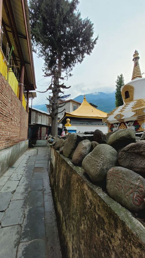 The view of Tibetan Monastry in Manali, with a scenic background. Manali Background, The View, Quick Saves