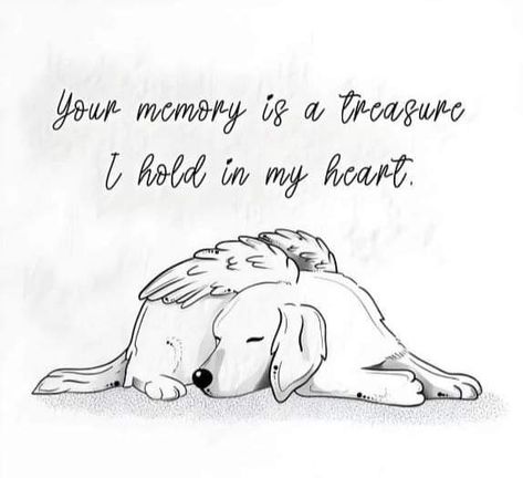 Dog Loss Sympathy, Dog Quotes Love, Dog Heaven, Loss Of Dog, Losing A Dog, Losing A Pet, Dog Quotes, Love You Forever, True Words