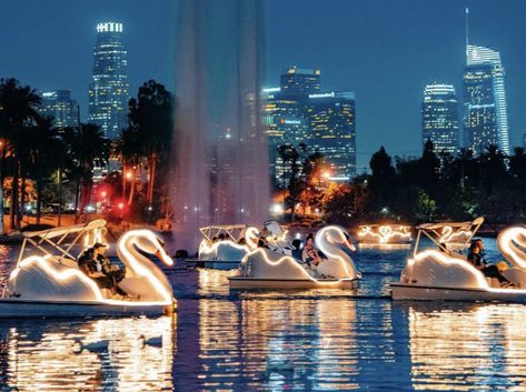 Lakes in Minneapolis, St. Paul gain a flock of swan boat rentals. It’s a-boat time. Swan Boats, Echo Park Lake, Downtown Long Beach, Pedal Boats, Los Angeles Aesthetic, Pedal Boat, Boat Party, Echo Park, Boat Rental