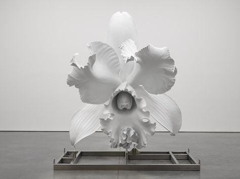 The Etymology of the Baroque Marc Quinn, Flower Sculptures, Sculpture Installation, Ceramic Flowers, Art Sculpture, Ceramic Sculpture, White Painting, Clay Art, Archaeology