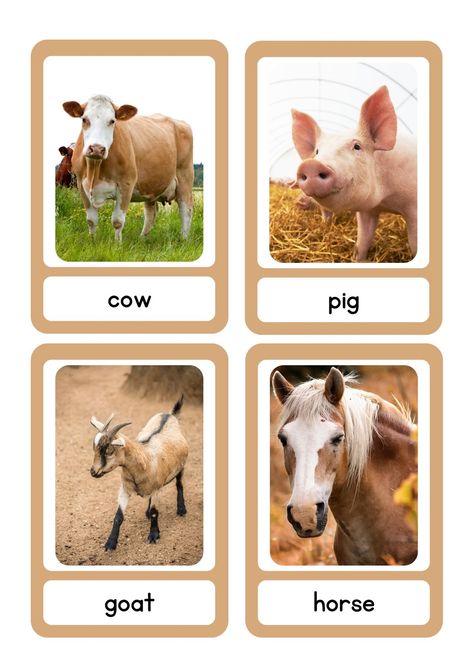 Animal Vocabulary, Farm Animals Pictures, Vocabulary Flash Cards, Animal Flashcards, Farm Activities, Flashcards For Kids, Animals Pictures, Collaborative Learning, Letter A Crafts