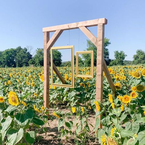 Pumpkin Patch Business, Agritourism Farms, Pumpkin Patch Farm, Cut Flower Farm, Farm Day, Farm Business, Farm Fun, Pumpkin Farm, Farm Tour