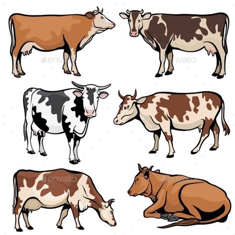 Farm Cows Dairy Cattle in Cartoon Vector Style by MicrovOne | GraphicRiver Farm Cartoon, Cow Illustration, Cow Drawing, Cow Colour, Dairy Cattle, Cartoon Cow, Farm Cow, Cattle Farming, Cow Painting