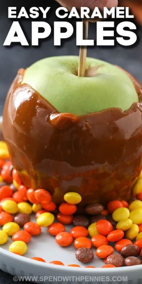 The kids are sure to love this classic treat of caramel apples There are only 3 ingredients for this easy-to-make recipe - milk, apples, and caramel squares. However, the kids will love to dip or roll them in extra toppings, like nuts, or candy. Or drizzle them with chocolate sauce. The result will be the same - a sweet caramel apple that will be so sweet and delicious. #caramelapples #caramelapple #caramelapplerecipe #spendwithpennies Carmel Apples Recipes, Caramel Squares Recipe, Caramel Apple Dippers, Carmel Apple Recipe, Diy Caramel, Caramel Squares, 3 Ingredient Recipe, Mini Caramel Apples, Caramel Apples Recipe