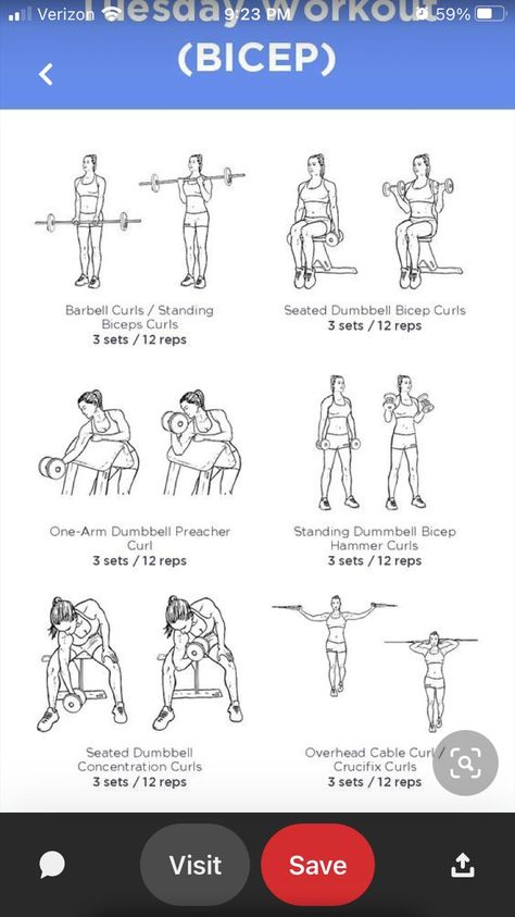 Curls Workout, Dumbbell Bicep Curl, Concentration Curls, Bicep Workout, Hammer Curls, Bicep Curls, Running Workouts, Cable