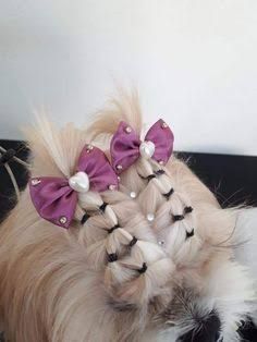 Cute Dog Hairstyles, Dog Hairstyles Shih Tzu, Puppy Hairstyles, Dog Hairstyle, Shih Tzu Hair Styles, Dog Hairstyles, Creative Dog Grooming, Pets Grooming, Perro Shih Tzu