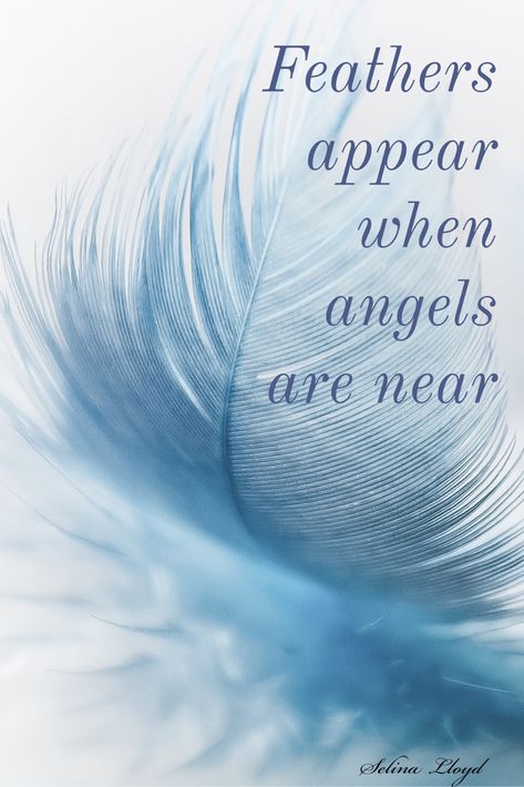 Believe in miracles Angel Sayings And Quotes, Angels Quotes, Feather Quotes, American Indian Quotes, Word Tattoo Ideas, Angel Feather, Word Tattoo, Indian Quotes, Angel Quotes