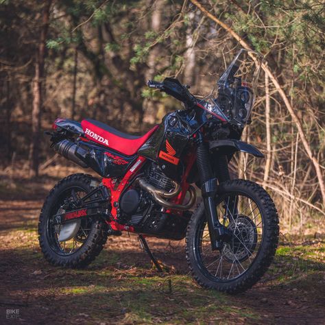 Honda Nx650, Honda Wing, Adventure Bike Motorcycles, Honda Dominator, Dmc Delorean, Bike Motorcycles, Soichiro Honda, Dual Sport Motorcycle, Enduro Motorcycle