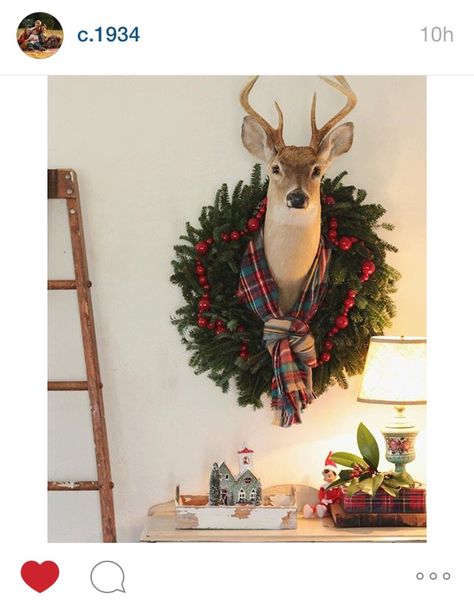 Deer Head Decor Christmas, Den Makeover, Tartan Decor, Antler Ideas, Home Decor Photography, Taxidermy Decor, Christmas Cabin, Christmas Lodge, Chinoiserie Christmas