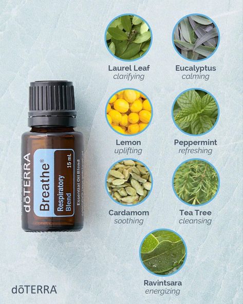 Breathe Essential Oil Blend, Breathe Essential Oil, Essential Oils For Breathing, Doterra Breathe, Doterra Oils Recipes, Essential Oil Usage, Essential Oil Safety, Doterra Essential Oils Recipes, Essential Oil Companies