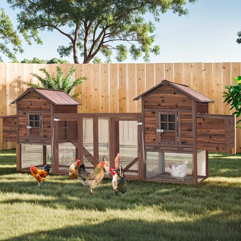 Dual Chicken Coop Outdoor Wooden Hen Run Poultry Cage Rabbit Hutch Pet House With Nesting Boxes Waterproof Roof https://share.temu.com/6kx3mNqZTCA via @shoptemu Poultry Cage, Rabbit Hutch, Nesting Box, Rabbit Hutches, Pet House, Pet Chickens, Nesting Boxes, Farm Gardens, Animal House