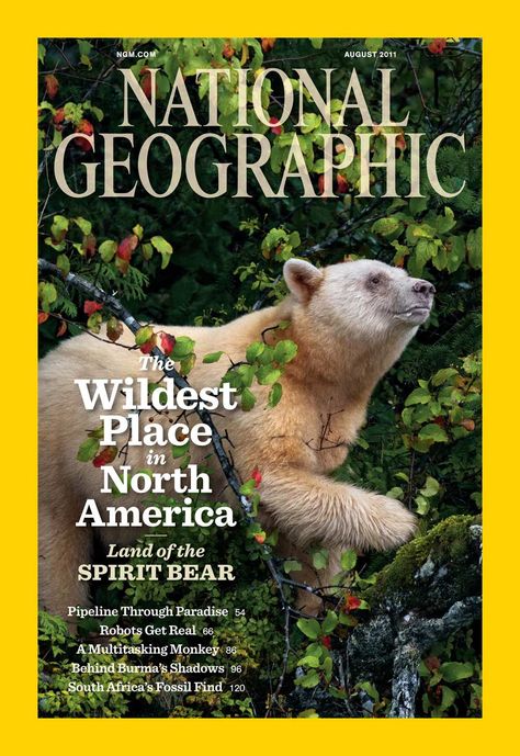 The August 2011 issue of National Geographic features two stories on the Land of the Spirit Bear: The wildest place in America and A Pipeline Through Paradise… National Geographic Cover, Kermode Bear, Spirit Bear, Places In America, National Geographic Magazine, Social Networking Sites, The Land, National Geographic, The Spirit