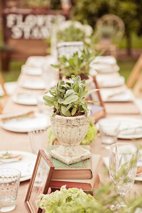 Herb Centerpieces, Outdoor Bridal Showers, Rosemary Sage, Wedding Design Inspiration, Inside Weddings, Bridal Shower Centerpieces, Pickle Ball, Wedding Inside, Party Inspo