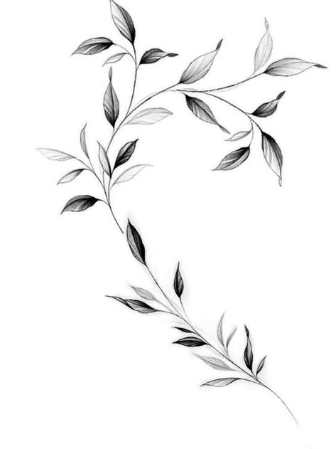 Leaves On Vine Tattoo, Men Vine Tattoo, Branch Tattoo Men, Vine Tattoo Men, Leaf Branch Tattoo, Vine Underboob Tattoo, Linework Tattoo Sleeve, Flower Branch Tattoo, Fineline Rose Tattoo