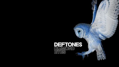 Deftones Diamond Eyes Wallpaper, Deftones Macbook Wallpaper, Deftones Laptop Wallpaper, Deftones Wallpapers, Owl Wallpaper, Eyes Wallpaper, Cute Laptop Wallpaper, Band Wallpapers, Owls Drawing