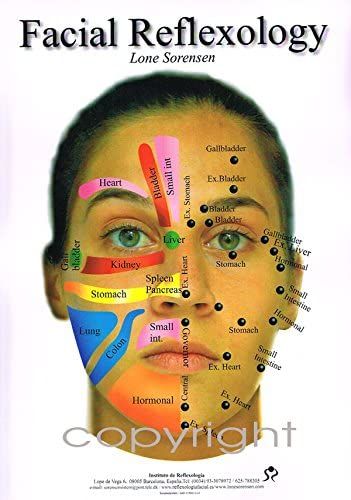 FACIAL REFLEXOLOGY CHART, A3 by Lone Sorensen Lopez: Amazon.co.uk: Lone Sorensen Lopez: 8438525825198: Books Facial Reflexology, Acupressure Therapy, Reflexology Chart, Face Mapping, Reflexology Massage, Acupressure Points, Face Yoga, Massage Techniques, Medical Science