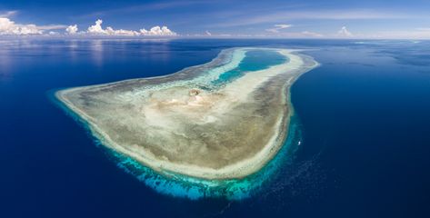 Tubbataha Reef on Atlantis Tubbataha Reef, Tubbataha Reef Philippines, Batangas Beach, Tubattaha Reef Philippines, Batangas Tourist Spot, Atlantis Royal Towers The Bahamas, Nasugbu Batangas Beaches, Coral Reef Ecosystem, Shark Conservation