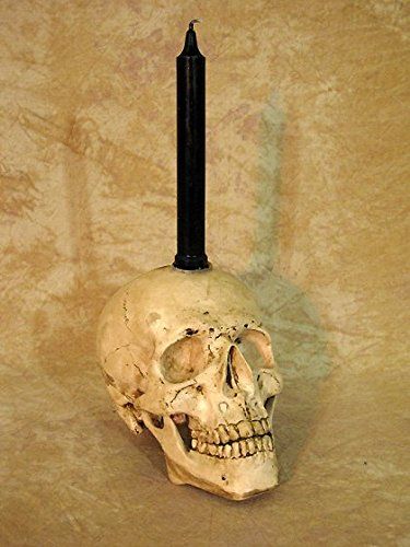 Skull Candle Display LifeSize Skull * Click on the image for additional details. Skull Display, Steampunk Interior, Skull Candle Holder, Skull Wall Decor, Candle Display, Thanking Someone, Halloween Prop, Dark Home Decor, Skull Candle