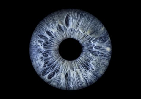 Iris Eye Photography, Blue Iris Eye, Blue Eyes Aesthetic, Fantasy Romance Art, Iris Eye, Eye Texture, Two Eyes, Baby Eyes, Blue Iris