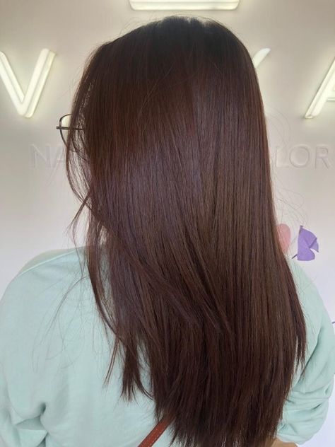 Chesnutt Brown Color Hair Straight, No Bleach Hair Color For Dark Hair, Dark Copper Brown Hair, Brown Haircut, Pelo Cafe, Chestnut Hair, Warm Scarves, Brown Hair Looks, Brown Hair Inspo