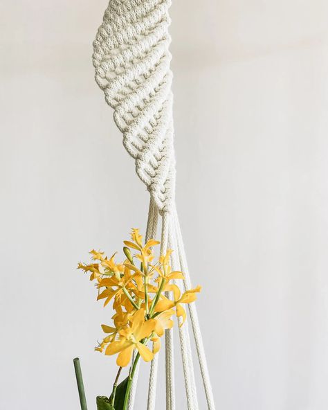 DNA macrame plant hanger by Curious Craft Studio. Macrame patterns, tutorials and DIY kits. Knots Guide, Macrame Knots Pattern, Macrame Knot, Macrame Knots, Macrame Tutorial, Craft Studio, Macrame Design, Macrame Diy, Macrame Patterns