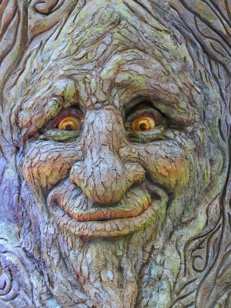 Tree Face. A spooky and smiling face in a tree at the 2013 Autumn display in the , #sponsored, #face, #tree, #smiling, #Tree, #Face #ad Wood Carving Faces, Tree People, Magical Tree, Picture Picture, Tree Faces, Wood Spirit, Tree Carving, Unique Trees, Tree Sculpture