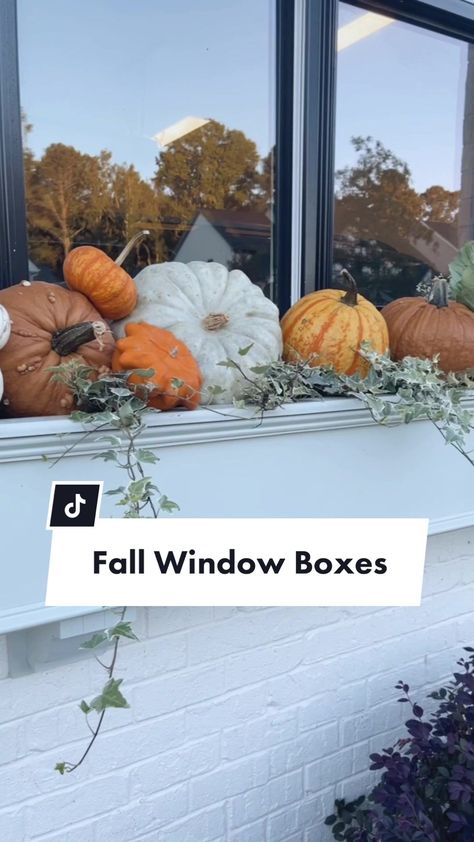 Fall Window Boxes With Pumpkins, Fall Flower Boxes Window, Fall Window Boxes, Pumpkin Song, Fall Windows, Fall O, Fall Outdoor Decor, Window Boxes, Window Pane