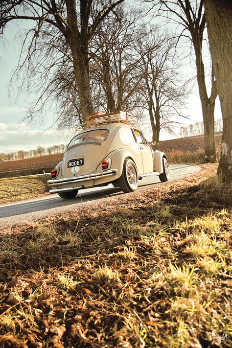 Vw Bug Aesthetic, Beetle Aesthetic Wallpaper, Vw Beetle Aesthetic, Beetle Aesthetic, Bug Aesthetic, Oldschool Cars, Classic Beetle, Volkswagen Beetle Vintage, Volkswagen Type 3