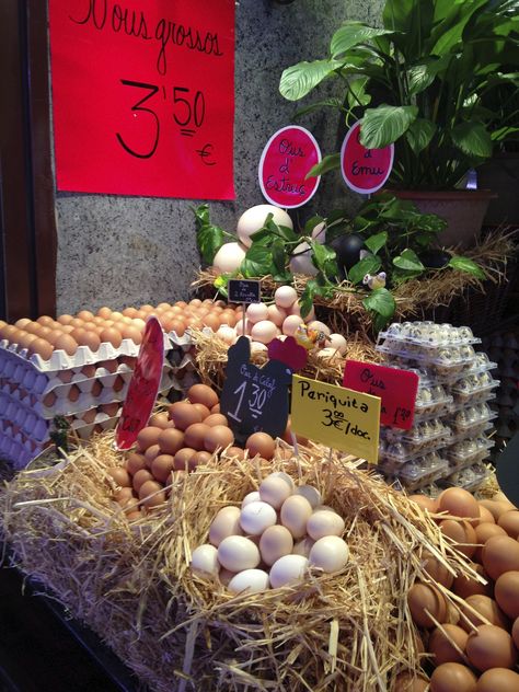 Farm Store Decor, La Boqueria Barcelona, Retail Store Layout, Fruit And Veg Shop, Farmers Market Booth, Farmers Market Display, Foods For Abs, Egg Packaging, Egg Shop