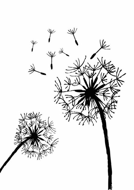 Free Printable Dandelion Stencils | Dandelion - plus lots of other free graphics Stencils Printables Templates, Wood Burning Patterns Stencil, Free Stencils Printables, Wood Burning Stencils, Pyrography Patterns, Stencils Printables, Wood Burning Crafts, Glass Decals, Free Stencils