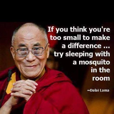 If you Think you're too Small  To make a Difference  ... try Sleeping with a Mosquito in the Room!  . Dalai Lama . #athingaday #You #Think #Too #Small #Make #Difference #Try #Sleeping #Mosquito #Room March 10 2019 at 10:10AM at http://bit.ly/2XNwOiV Dalai Lama Quotes, Buddhism Quote, Buddhist Quotes, Dalai Lama, Quotable Quotes, Make A Difference, Old Man, A Quote, Wise Quotes