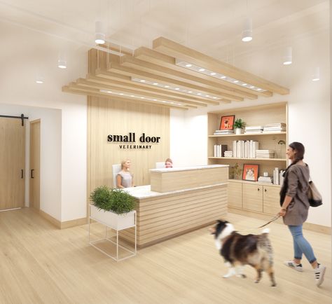 Pet Store Design, New York Projects, Small Door, Hospital Interior, Clinic Interior Design, Store Interiors, Hospital Interior Design, Vet Clinics, Pet Clinic