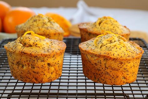 Friands Recipe, Flourless Orange Cake, School Cakes, Cakes Slices, Cake Stall, Yoghurt Cake, Poppy Seed Cake, Hummingbird Cake, Small Cakes