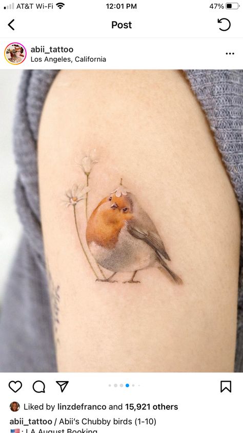 Bird Robin Tattoo, Cute Robin Tattoo, Robin And Flower Tattoo, Small Robin Tattoo, Robin Tattoo Design, Floral Bird Tattoo, Love Bird Tattoo, Robin Tattoos, Robin Bird Illustration