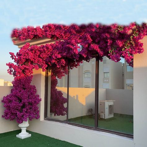 FC62001 high quality artificial silk bougainvillea flower garden wedding decoration Faux Bougainvillea, Flower Garden Wedding, Bougainvillea Flower, Flower Decorations Diy, Garden Wedding Decorations, Bougainvillea, Wedding Decoration, Garden Wedding, Flower Decorations