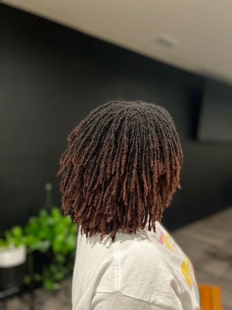 Small Twist Locs, Brown Ombre Locs Black Women, Chocolate Brown Microlocs, Mini Locs Black Women, Micro Locs 4c Hair, Loc Dye Ideas Dark Skin, Colored Microlocs Black Women, Brown Microlocs, Medium Microlocs