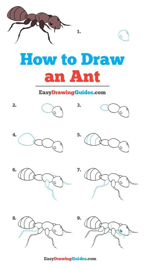 Learn How to Draw an Ant: Easy Step-by-Step Drawing Tutorial for Kids and Beginners. #Ant #DrawingTutorial #EasyDrawing See the full tutorial at https://easydrawingguides.com/how-to-draw-an-ant/. How To Draw Bugs Step By Step, How To Draw Insects Step By Step, How To Draw An Ant, Ant Drawing Easy, How To Draw Bugs, Ant Drawing, Trin For Trin Tegning, Running Drawing, Disney Drawing Tutorial