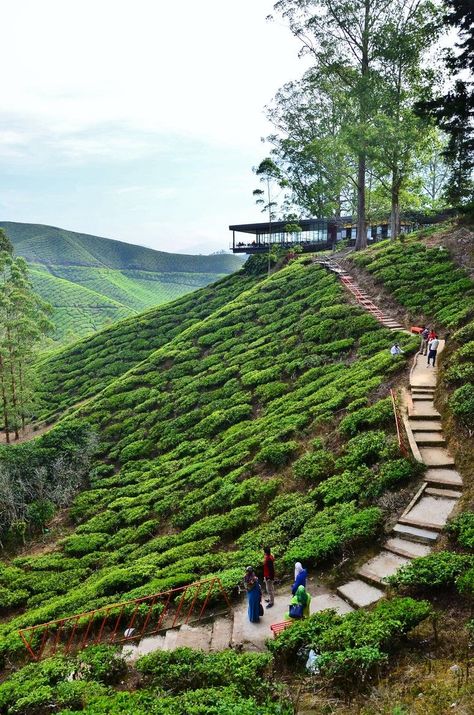 Cameron Highlands Malaysia, Park Architecture, Malaysia Tour, Port Dickson, Strait Of Malacca, Kuala Terengganu, Kota Bharu, Travel Vibes, Hiking Adventures