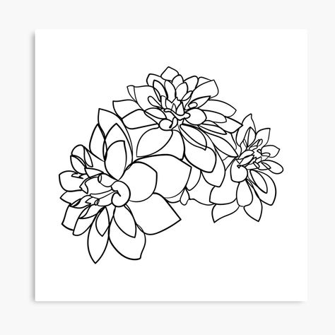 Dahlia Tattoo, Flowers Line Art, Drawing Canvas, Tattoo Shoulder, Coffee Box, Dahlia Flowers, Line Art Drawing, Dahlia Flower, Single Line