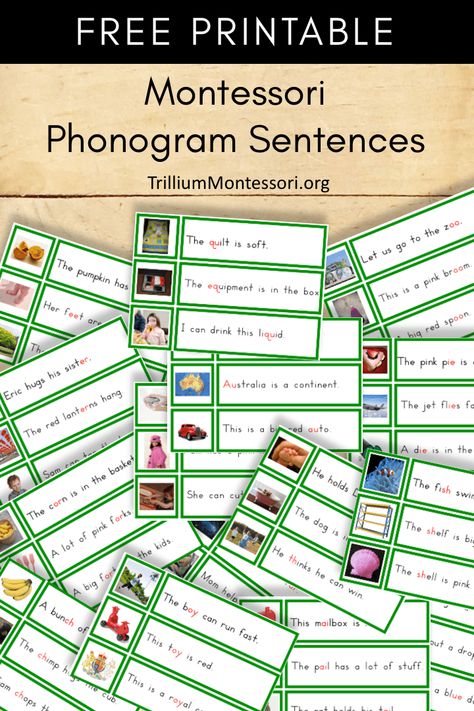 Free Montessori phonogram sentences to go with the sandpaper phonograms Montessori Reading Activities, Montessori Printables Free, Primary Montessori, Montessori Worksheets, Montessori Reading, Montessori Grammar, Montessori Kindergarten, Montessori Printables, Montessori Elementary