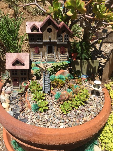 My fairy garden Broken Pot Garden, Mini Cactus Garden, Modern Planters Outdoor, Fairytale Garden, Fairy Stuff, Mini Gardens, Garden Mushrooms, Tiny Garden, Miniature Gardens