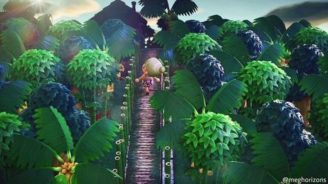 Dino Island, Bug Images, Hawaii Theme, Jungle Resort, Ac New Leaf, Tropical Animals, Tropical Resort, New Animal Crossing, Animal Crossing Qr