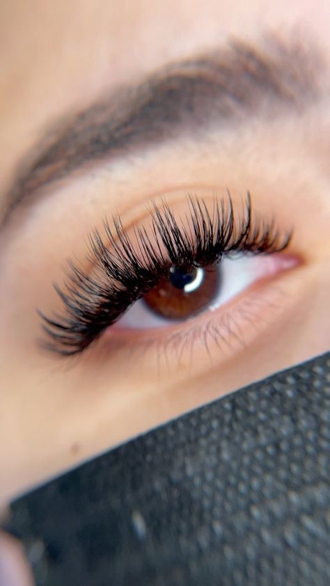 The Wet Look Lashes, Wispy Doll Eye, The Wet Look, Eyelash Studio, Lash Map, Home Spa Room, Wet Set, Reel Ideas, Pretty Lashes