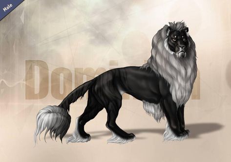 Shedu Cats, Types Of Lions, Cat Hybrids, Giant Lion, Lion King Fanart, Sabertooth Tiger, Lions Pride, Lion Cat, Lion King Fan Art